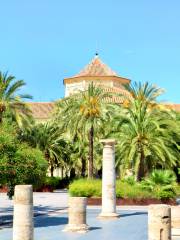 Biblioteca Pública de València Pilar Faus