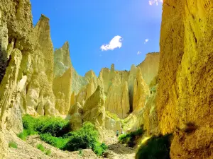 Clay Cliffs