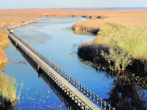 Parco nazionale di Point Pelee