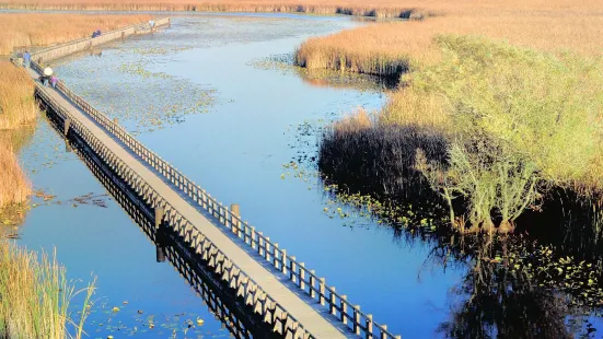 Point Pelee National Park