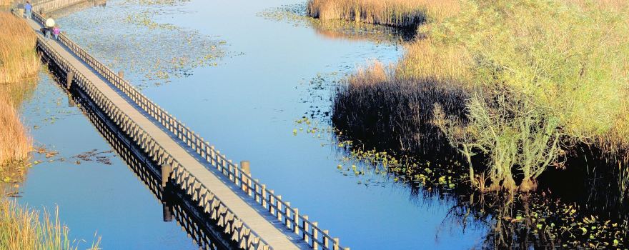 Point-Pelee-Nationalpark
