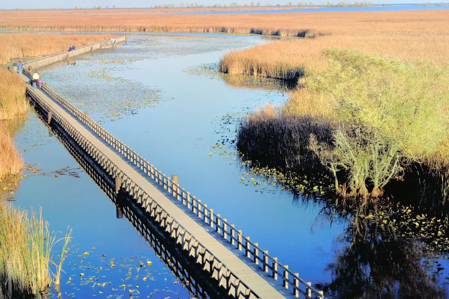 Point Pelee National Park