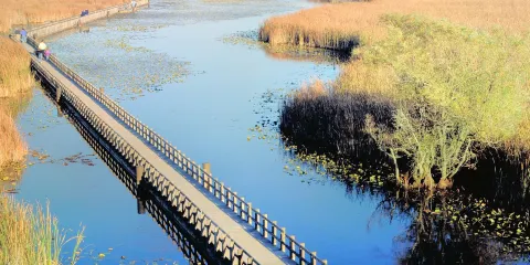 皮利角國家公園