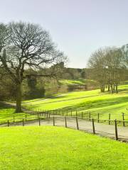 William Land Regional Park