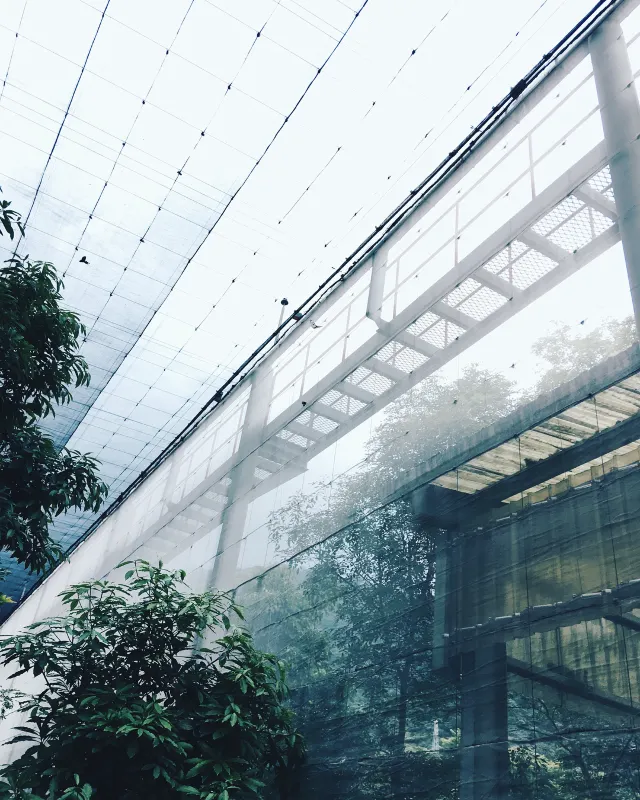 花蓮新景點 2020－6 大花蓮旅遊必去景點！