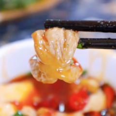 Yibinfeichang Fish User Photo