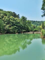 大山沖森林公園