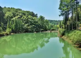 Дашань Хунг-Фунг Парк
