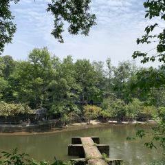 JIN CEN YUAN NONG ZHUANG User Photo