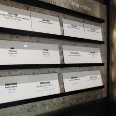 Dip In Gelato User Photo