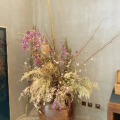 He's House User Photo