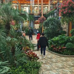 斯奴巴山城总店 User Photo