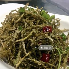 积石生态园 User Photo