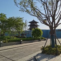 曲阜鲁能JW万豪酒店·JW Kitchen自助餐厅 User Photo