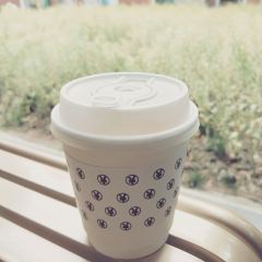 Money Shops User Photo