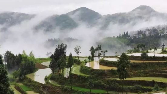 茗嶴梯田，深藏於浙南永嘉山脈中，盛名不比雲南哈尼梯田，美卻毫