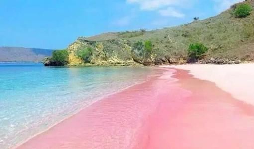 ピンク サンド ビーチの写真 ダンモア タウンの観光スポットの写真 Tripメモリー