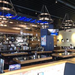 blue frog ảnh của người dùng