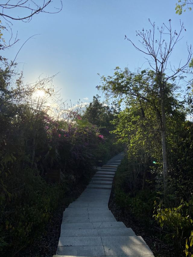 Linchunling Forest Park