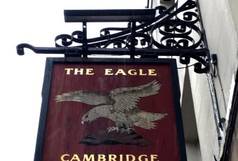 Eagle user photo