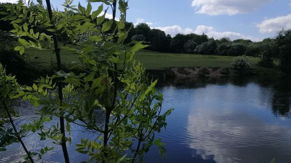 Парк Брамли Фолл