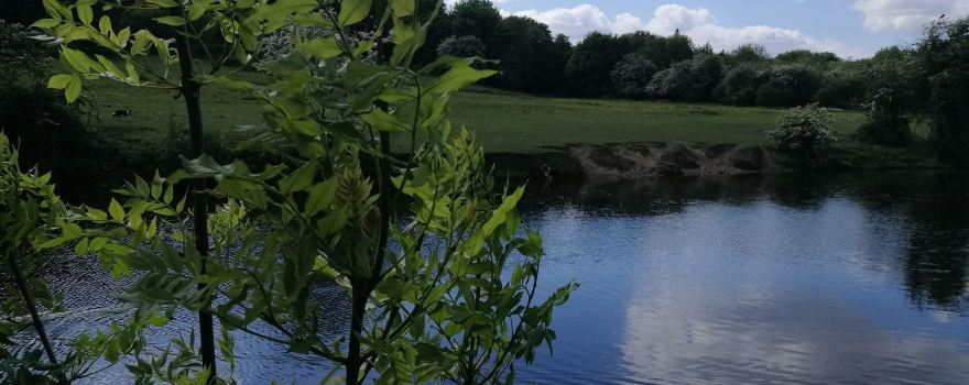 Bramley Fall Park