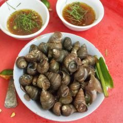 Oc Nong Ha Trang User Photo