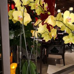 Taipei Yuanshan Hotel Yuanyuan User Photo