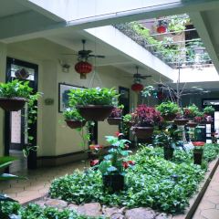 DRAGON'S RESTAURANT User Photo