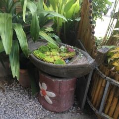 Jungle Kitchen User Photo
