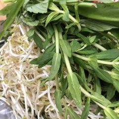 Phở Lệ ảnh của người dùng