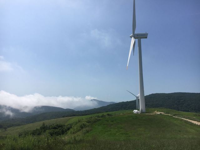 대관령양떼목장