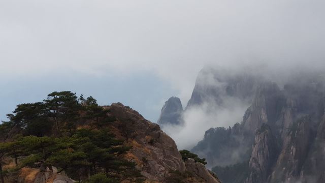 광명정