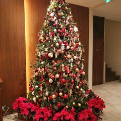 Hibiya Matsumotoro User Photo