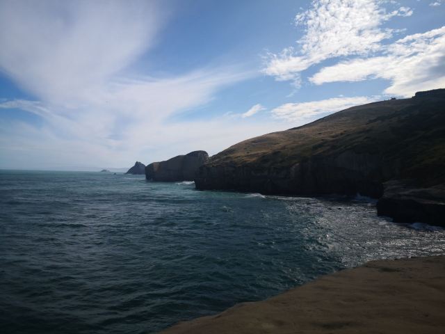 Dunedin
