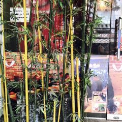 Bun Cha Ta User Photo