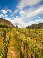 Gibbston Valley Winery & Restaurant