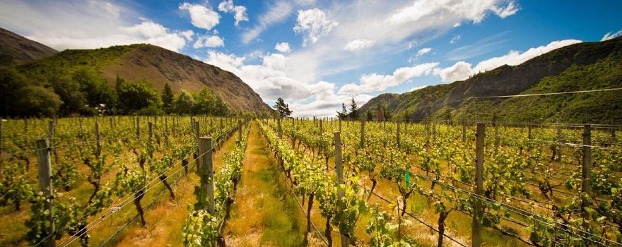 Gibbston Valley Winery & Restaurant