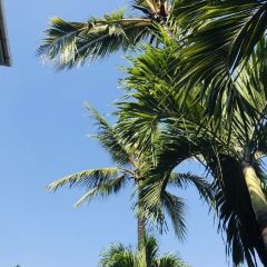 Coco Veranda User Photo