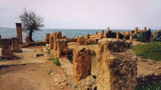 提帕萨坐落于地中海沿岸，是古代迦太基的贸易驿站，后被罗马占领
