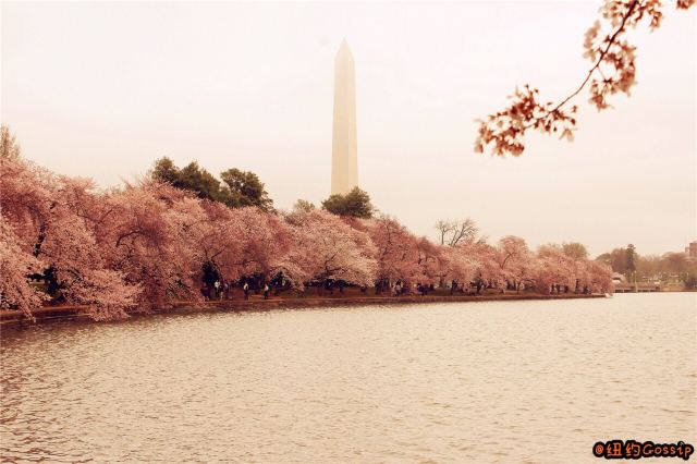 Washington Monument