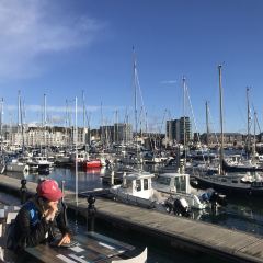 The Harbour Seafood Restaurant and Takeaway User Photo
