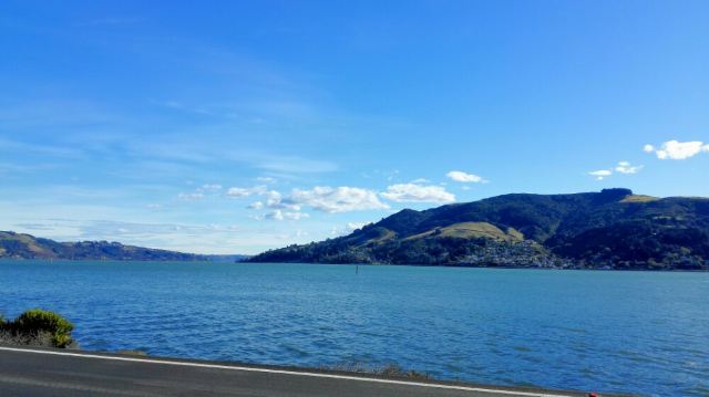 Otago Peninsula