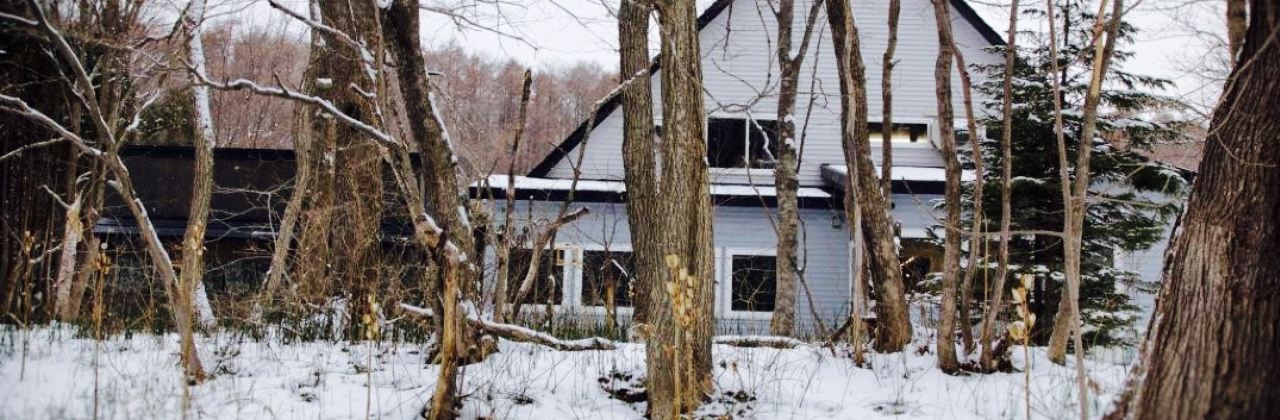 The Bird Watching Cafe