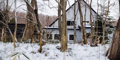 The Bird Watching Cafe