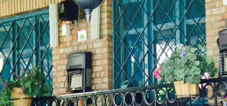 Coffeeshop&Veggie Restaurant