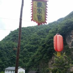 天旅農家宴張用戶圖片