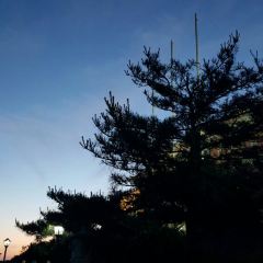 醉得意(中百店)張用戶圖片