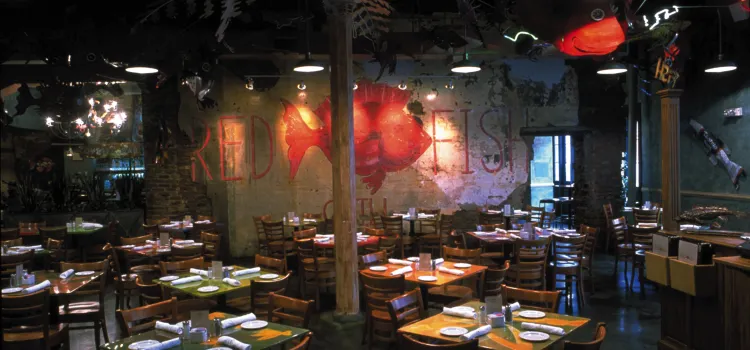 Red Fish Grill