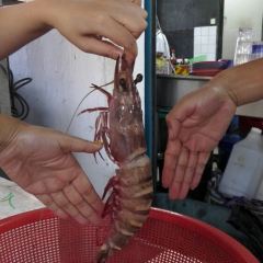 Yong Leong Seafood Restaurant User Photo
